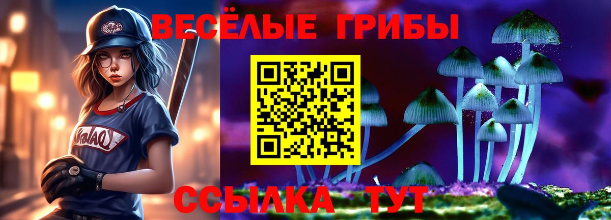 Псилоцибиновые грибы Psilocybine cubensis Шали