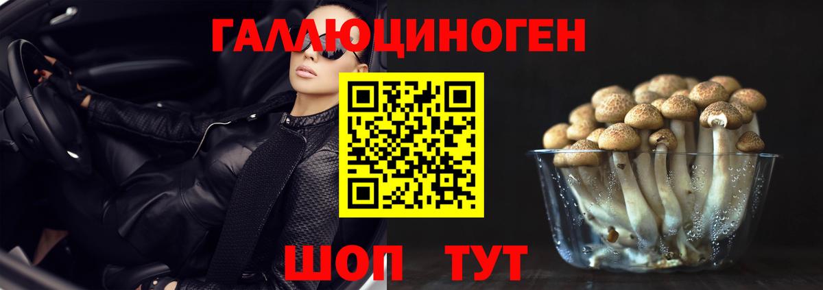 Шали  Галлюциногенные грибы прущие грибы  Вход с VPN  Галлюциногенные грибы мицелий 